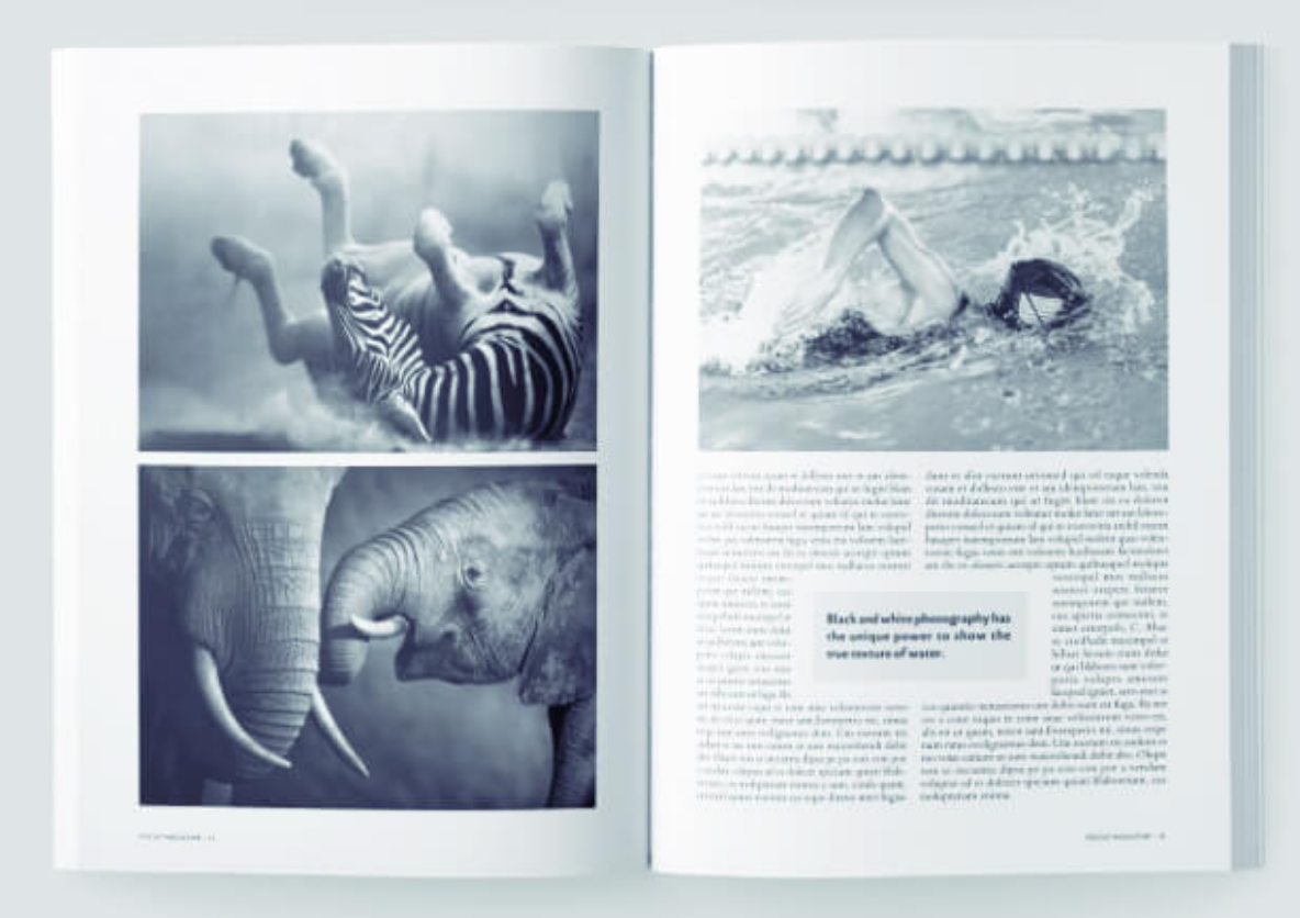 Image of a magazine text with an quote in the middle of the two columns